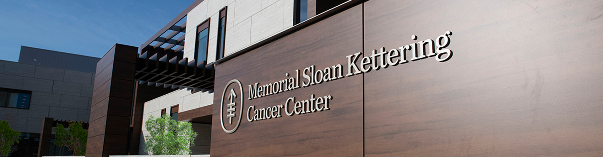 Memorial Sloan Kettering Cancer Center Audio Visual Conference Room